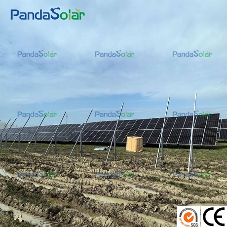 O projeto solar montado no solo de 5 MW da Pandasolar está em construção, continuando seu impulso de energia renovável